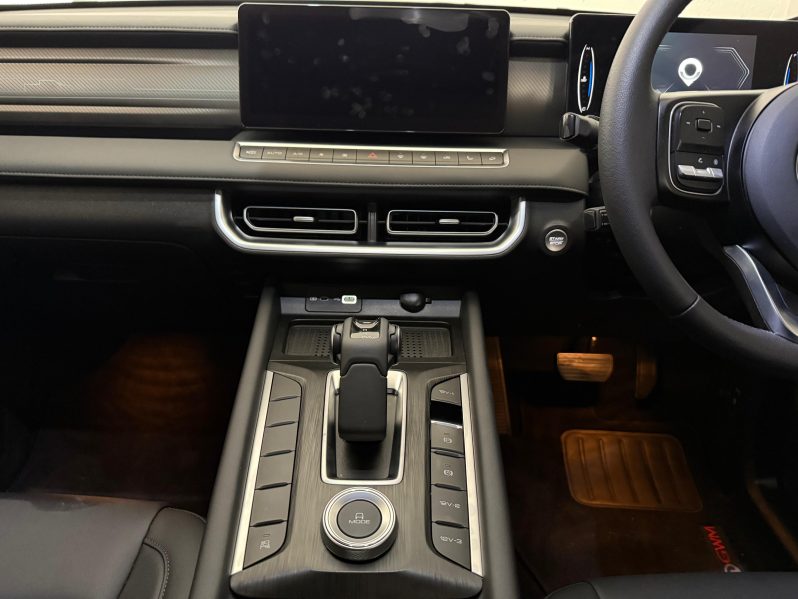 GWM P300 2.4TD LT A/T D/C P/U 2025